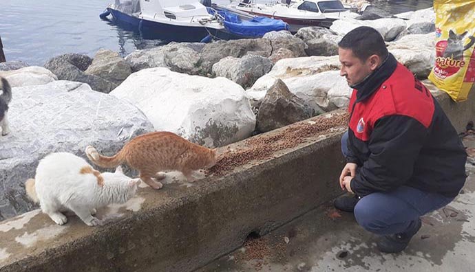 Maltepe Belediyesi 14 bin can dostunu tedavi etti