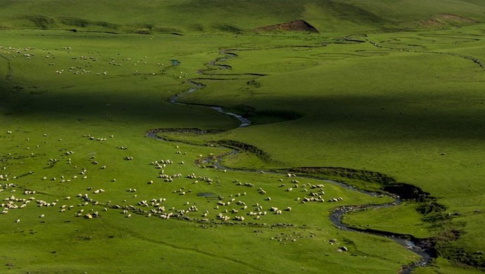 Ordu Aybastı Perşembe Yaylası – Menderesler