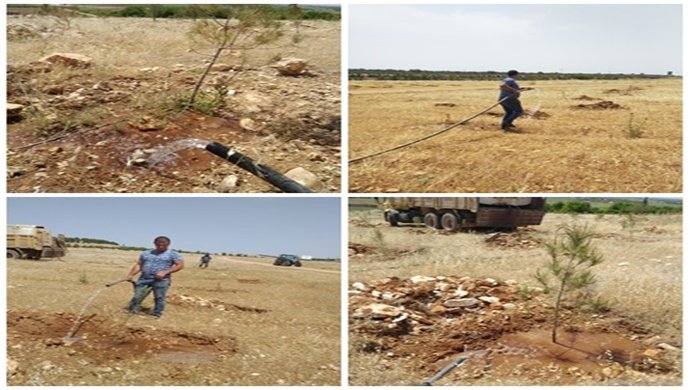 Şanlıurfa Orman Bölge Müdürü Cevdet Çiçek, Şanlıurfa’da Fidanlar Sulanıyor