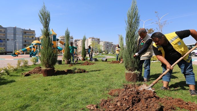 HALİLİYE’DE PARKLARDA YENİLEME ÇALIŞMASI