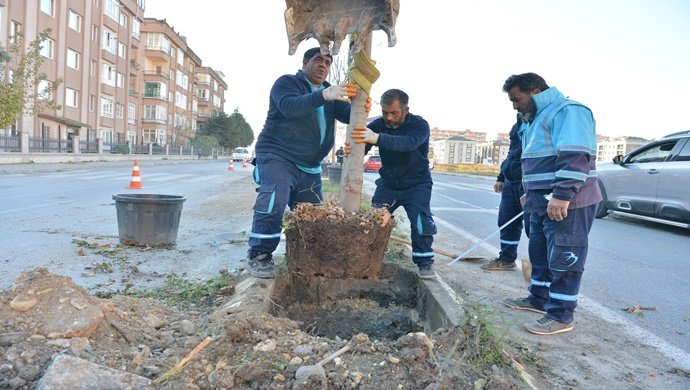 kent ağaçlandırma çalışmalarını eş zamanlı olarak sürdürüyor