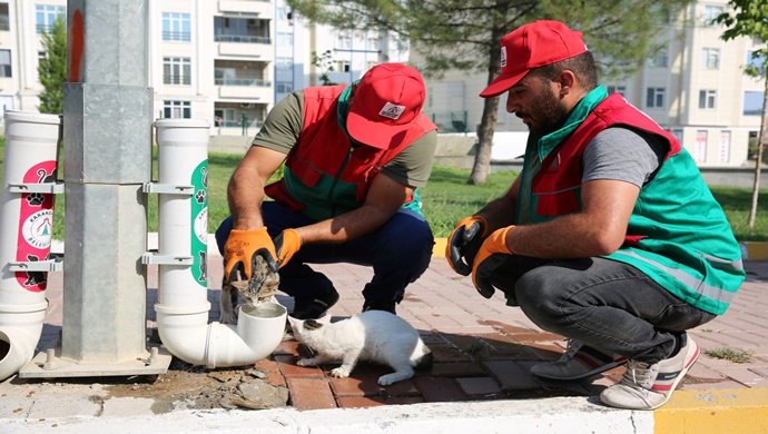 KARAKÖPRÜ BELEDİYESİ SOKAKTAKİ CANLARI UNUTMUYOR