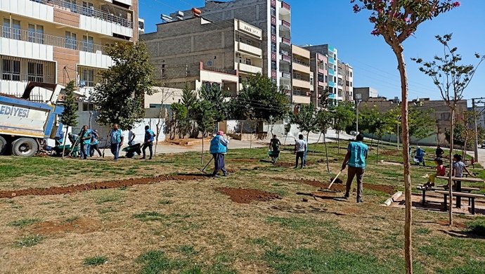 Eyyübiye Yeşillenmeye Devam Ediyor